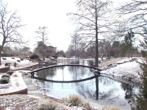 Park in winter