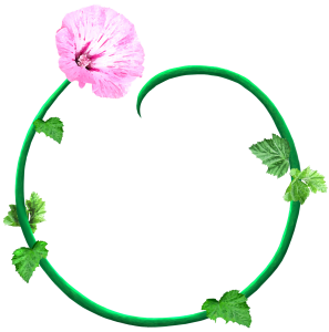 Logo Bright Circle Herbcraft